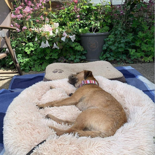 The Original Cloud 9™ Dog Bed