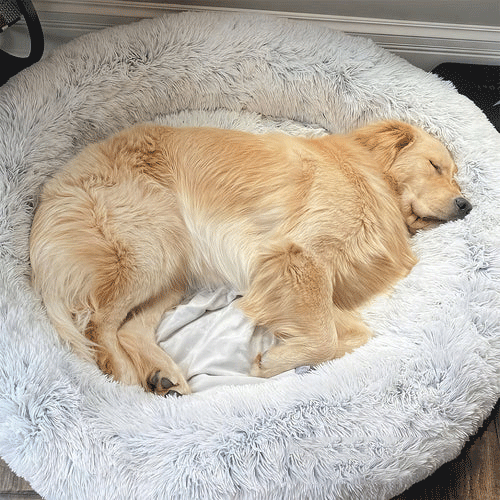 The Original Cloud 9™ Dog Bed