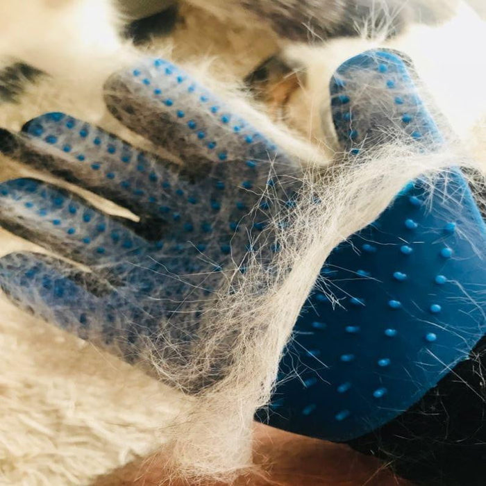 Grooming Pet Glove