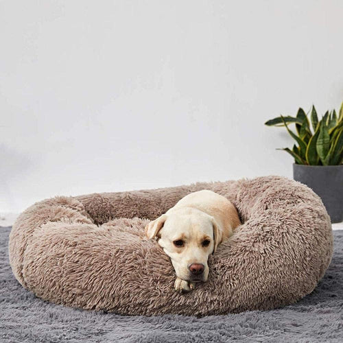 The Original Cloud 9™ Dog Bed