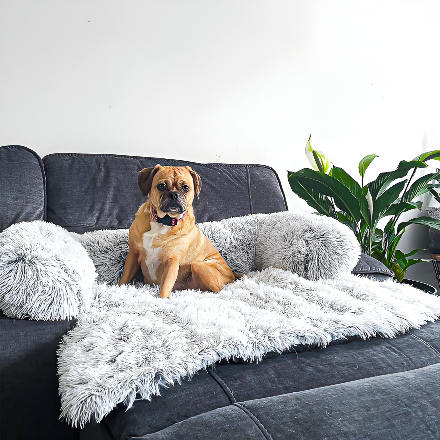Comfy Plush Dog Sofa