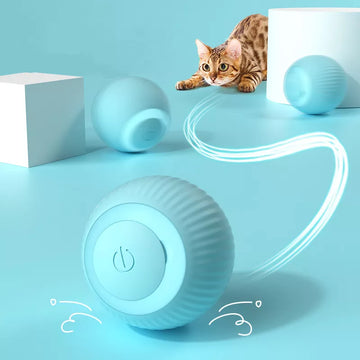 Self-Moving Cat Toy Ball
