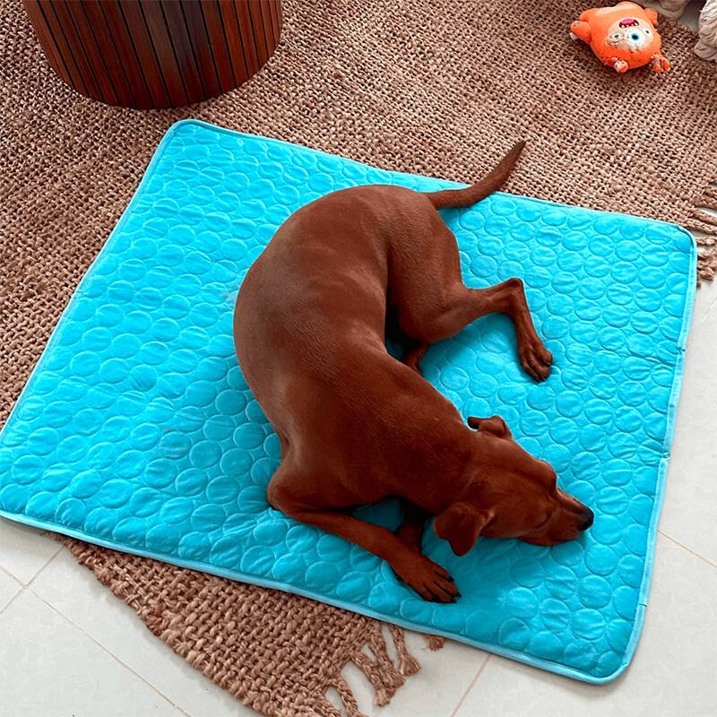 PetCool™ V.3 - Pet Cooling Mat