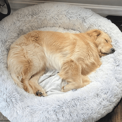 The Original Cloud 9™ Dog Bed