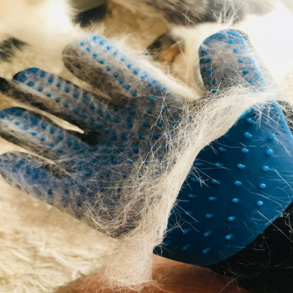 Grooming Pet Glove