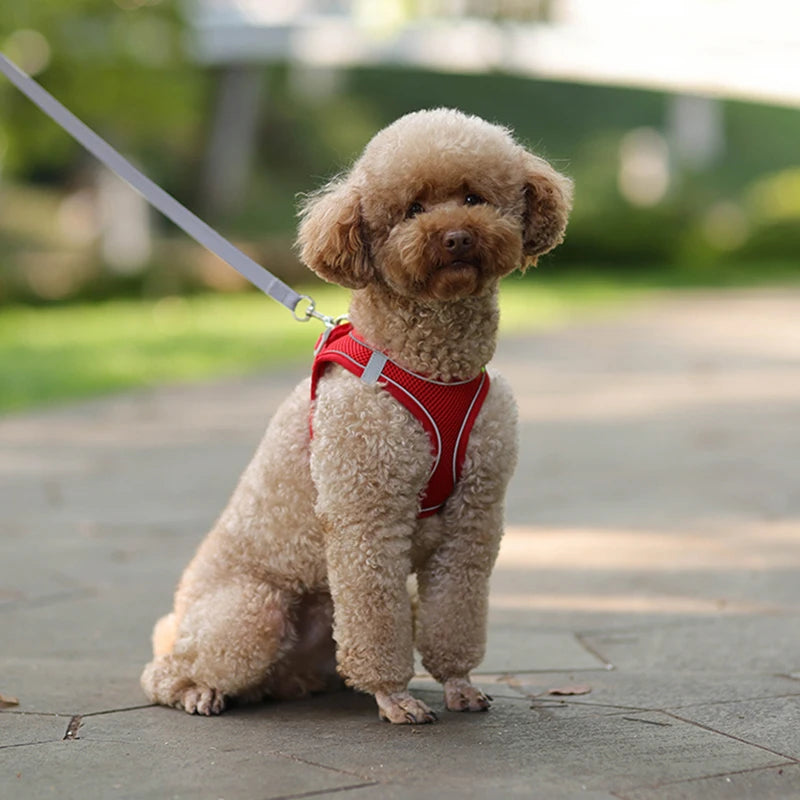 Furrfantasy Puppy Harness™