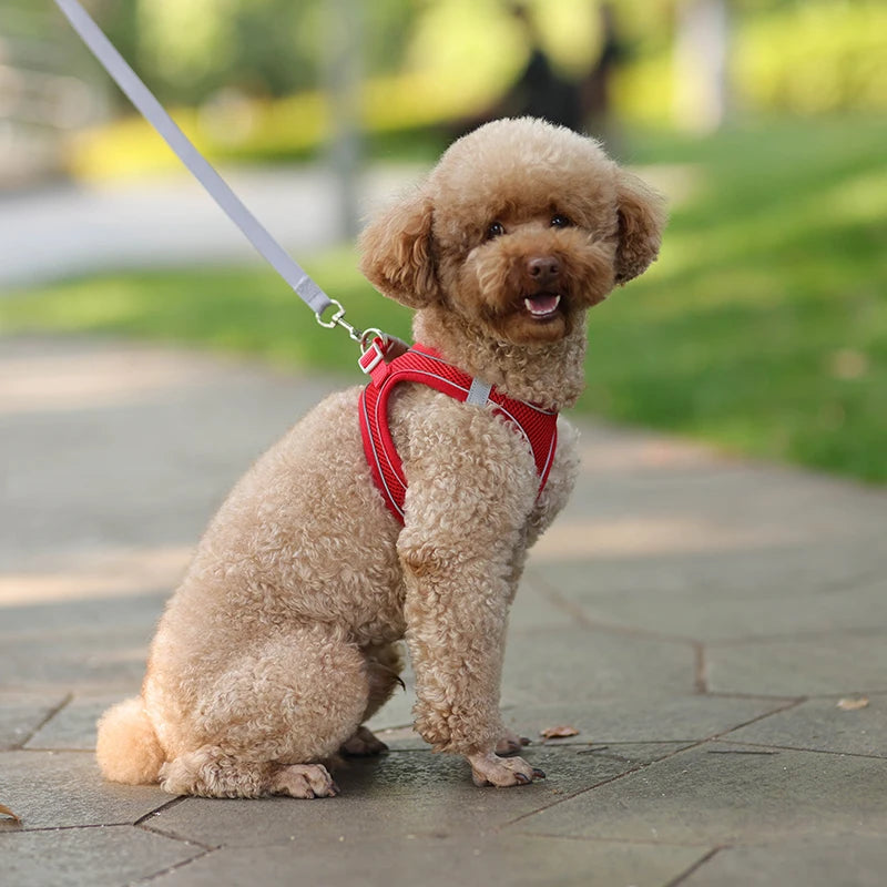Furrfantasy Puppy Harness™