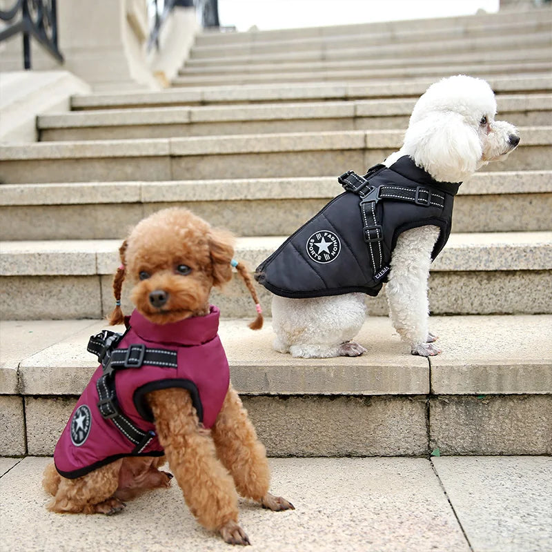 Waterproof Dog Coat