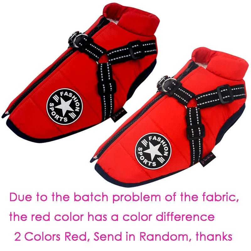 44807687569561|44807687602329|44807688224921|44807688257689|44807688290457|44807688323225|44807688421529|44807688454297