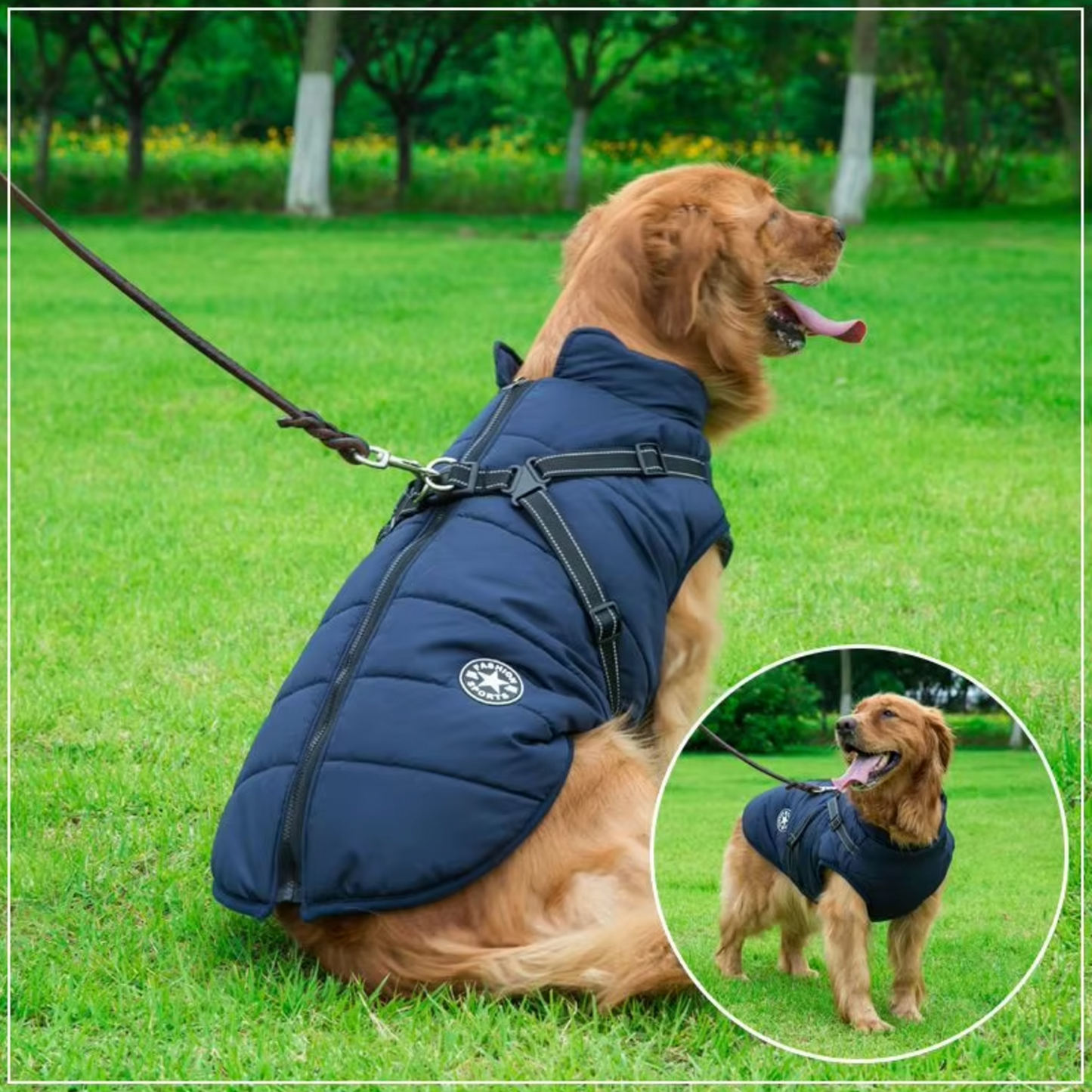 Waterproof Dog Coat