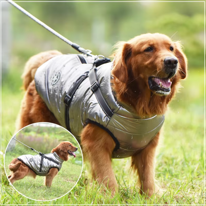 Waterproof Dog Coat