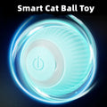 Self-Moving Cat Toy Ball