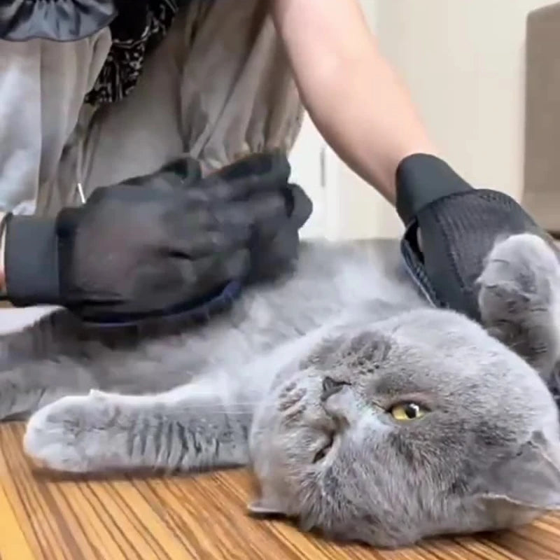 Grooming Pet Glove
