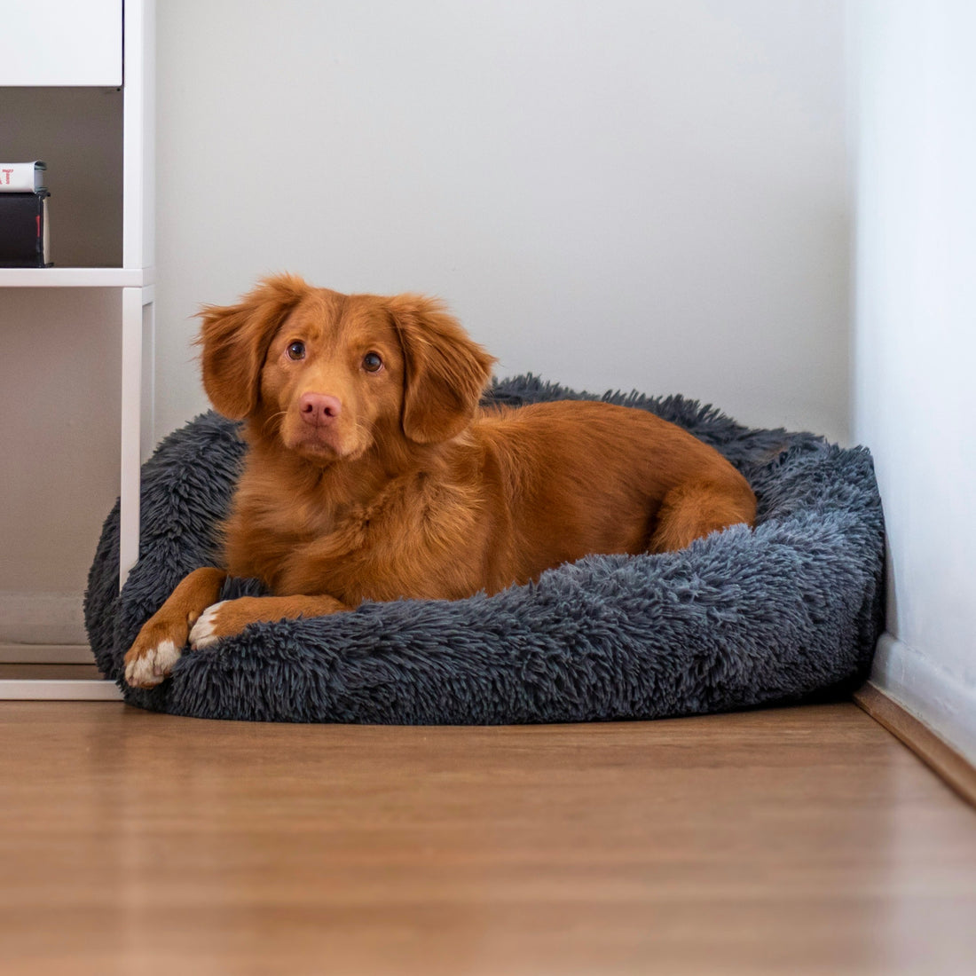 The Original Cloud 9 Dog Bed