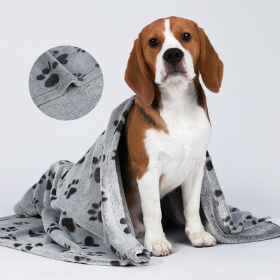Soft Fluffy Pet Blanket